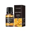 Yinsho Difusor de Aceites Esenciales de Aromaterapia de Gran Capacidad, 16 Opciones Disponibles para Coche, Interiores, Hotel, Ambientador, Fragancia de Larga Duración
