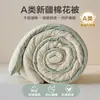Colcha original de algodão de Xinjiang, qualidade de grau A para maternidade e infantil, para uso doméstico e em dormitórios, adequada para todas as estações, colcha de primavera/outono, colcha de inverno, disponível para atacado online