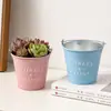 Balde de Lata Estilo Americano, Vaso de Lata Simples para Suculentas Verdes, Balde de Lata Pequeno, Porta-Canetas de Armazenamento para Mesa, Vaso Decorativo para Flores