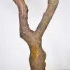 Planta Verde Artificial Falsa 2.8 m Árbol de Olivo Decoración Interior y Exterior Árbol de Olivo de Comercio Exterior