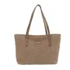 Bolsa de Felpa del Fabricante para Mujer Otoño e Invierno Nueva de Moda Bolso de Hombro de Felpa Bolso Tote de Felpa Modelo de Exportación 2024