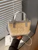 Bolso de Mano de Diseño de Nicho Transfronterizo Versátil Moderno Elegante para Mujer Modelo Nuevo 2026 Bolso de Hombro Cruzado Ligero de Alto Valor