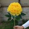 Flor de peonía única y rica, cabeza de flor grande, peonía artificial, flor de camino para bodas, decoración del hogar, flor falsa al por mayor