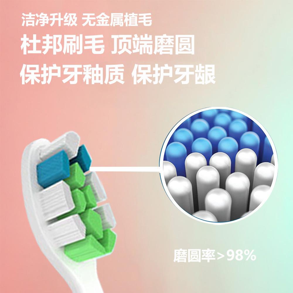 顶端磨圆 洁齿护龈