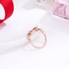 Nuevo Anillo de Acero de Titanio Oro Rosa Texto Romano Moda para Mujer Hueco Simple Atmosférico Anillo de Pareja Venta al por Mayor