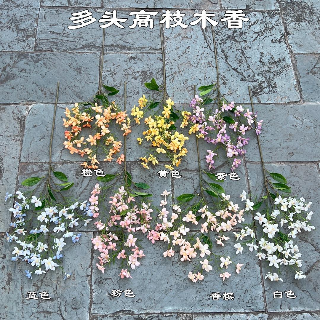 微信图片_20220730092426.jpg