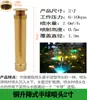 Columna de Flor de Manantial de Cedro DC Universal Ventilador en Forma de Champiñón Fuegos Artificiales Cola de Pavo Real con Válvula Fuente de Agua Aspersor para Fuente de Paisaje