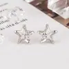 Brincos de Estrela Vazada com Zircônia para Mulheres 2023 Verão Novo Estilo Design de Nicho Personalizado Brincos Versáteis Modernos Elegantes