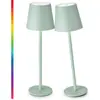 Lámpara de Mesa Minimalista Moderna, Lámpara de Mesa Decorativa Recargable, Dormitorio, Restaurante, Bar, Sensible al Tacto, Luz Nocturna de Ambiente de Gama Alta