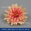 Flor artificial color champaña flor rosa estilo europeo ramo DIY ramo de novia caja de flores flor decorativa tocado accesorios de fotografía