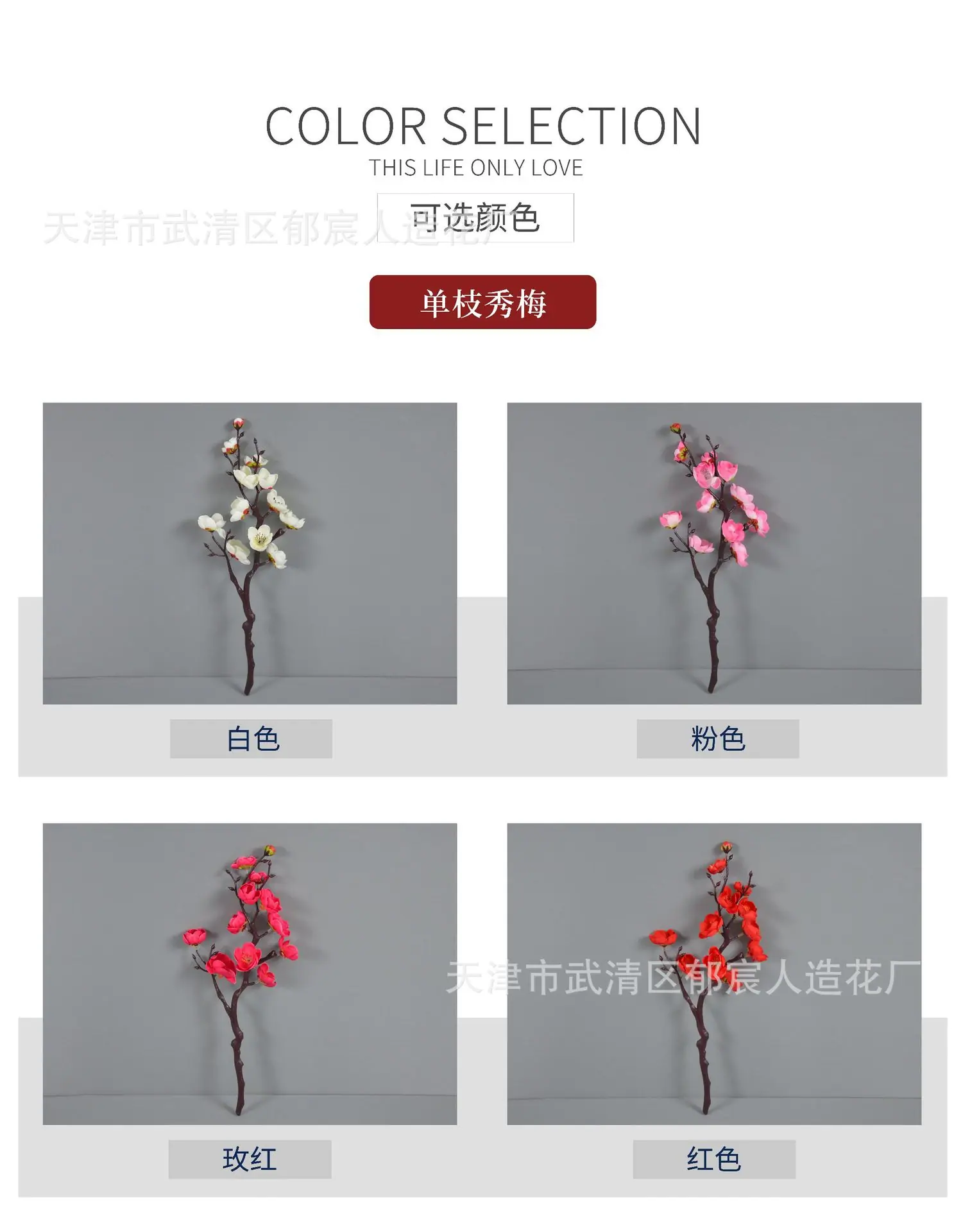 秀梅 详情_02.jpg