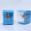 Caja azul de empaque para cebo de erizo de mar Luya material de PVC de alta elasticidad resistente al desgarro mordida biónica erizo de mar cebo suave Luya