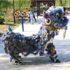 Juego Completo de Accesorios para Danza del León de Adulto, Suministros para Danza del León de Foshan, Cabeza de León del Sur para Danza del León, Juego Completo de Accesorios para Danza del León de Doble Cabeza