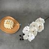 Flor Artificial 6 Pedaços Tecido de Seda Phalaenopsis Arranjo de Casamento Flor para Guia de Estrada Decoração de Sala de Estar de Hotel Flor Artificial Falsa