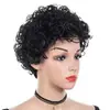 Peluca Afro Corta Rizada Africana Más Vendida Peluca Esponjosa de Pelo Corto para Mujer Fabricante Lista para Enviar Comercio Exterior Mayorista