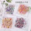 Accesorios para Uñas: Flores Secas, Fragmentos Florales, Mezcla Multicolor, Nuevo Romántico Primavera 2026 Decoraciones Pequeñas de Flor para Uñas
