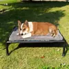 Cama de Acampamento para Cães Pequenos e Médios S, à Prova de Umidade, Dobrável, Ninho para Gatos e Cachorros, Tenda Removível para Animais de Estimação