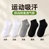Calcetines de Algodón Puro para Hombres y Mujeres, Resistentes al Olor, Anti-Pilling, Calcetines de Caña Corta/Media/Larga, Calcetines Deportivos de Algodón de Xinjiang, Calcetines de Algodón Absorbentes del Sudor, Venta al por Mayor