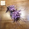 Simulación Epiphyllum Llama Única Epiphyllum Plástico Barba de Dragón Flor Única Arreglo Floral de Boda con Material de Flor de Bola Espinosa