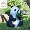 Resina panda artificial decoração jardim paisagem escultura esboço jardim exterior villa pátio decoração decoração animal