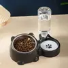 Comedero para Gatos con Tapa Inclinada, Comedero para Perros, Comedero para Comida de Gato, Acero Inoxidable de Doble Compartimento, Relleno Automático de Agua para Mascotas, Dispositivo de Alimentación de Agua Todo en Uno.