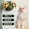 Juguete de Bola con Hierba Gatuna Mariquita para Limpieza Dental, Juguete Duradero para Masticar para Gatos, Alivio del Aburrimiento con Lamido Suministros para Mascotas al por Mayor