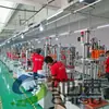 Máquina de aparafusar com travamento automático distribuidor de vídeo equipamento de aparafusar com travamento automático máquina de aperto automático de parafuso de hexágono externo