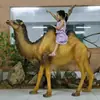 Adornos de Animales Simulados para Exteriores, Esculturas Grandes de Camello de Fibra de Vidrio para Decoración de Paisajismo de Parques y Espacios Verdes Comunitarios, Manualidades