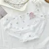 Liquidação Especial Roupa Íntima Feminina Sacola Surpresa Opcional Algodão Puro Renda Seda Gelada Lisa Mercadorias de Fim de Feira Atacado Cuecas
