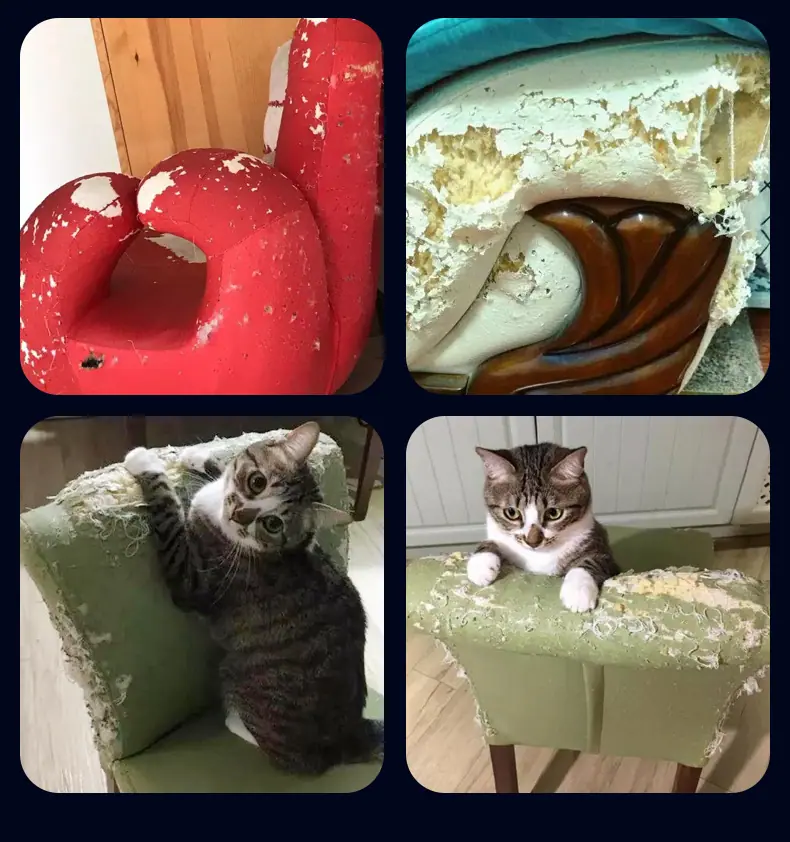 防猫抓贴详情_03.jpg