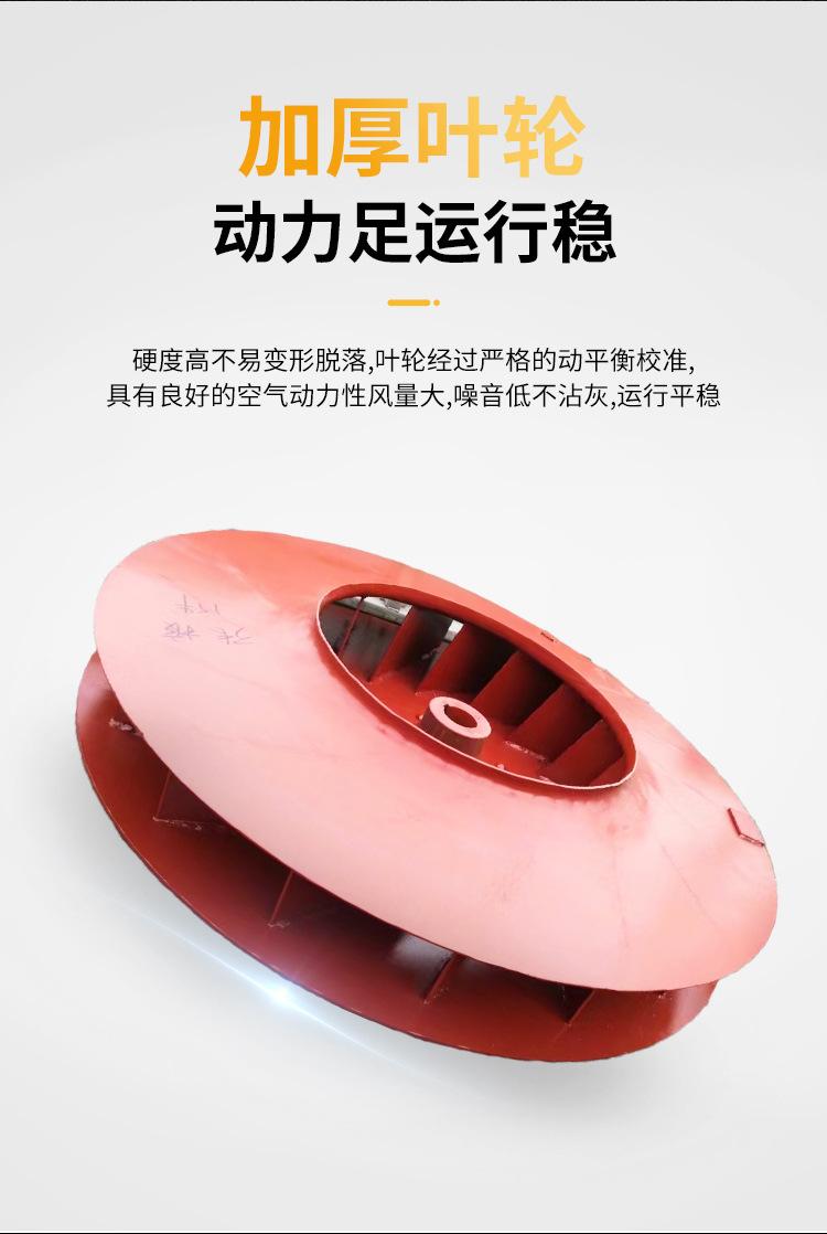 未标题-1_06.jpg
