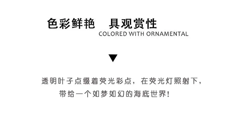 750详情_09