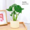 Monstera en Maceta para Escritorio de Oficina Purifica el Aire, Plantas Verdes Pequeñas, Adornos de Mesa en Maceta para Interiores, Buenas para Alimentar Plantas