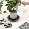 Pads para Pies de Maceta, Base Aislante de Calor, Base de Plástico, Soporte Elevador, Transpirable Anti-Pudrición de Raíces para Plantas en Maceta