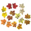 Hojas de Arce Artificiales, Hojas de Arce de Dos Puntas, Hojas de Otoño, Hojas de Colores, Decoración de Fondo, Hojas de Accesorio, Tipo de Pie