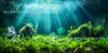 Pegatina de Fondo para Acuario Estéreo 3D de Alta Definición, Papel de Fondo Autoadhesivo Engrosado para Acuario, Papel Tapiz para Paisajismo de Acuarios