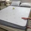 Classe de Verão a Feijão de Gelo Mat 2026 Novo Desenho Animado Mat de Seda Gelada Estilo Lençol Dobrável Dormitório de Estudante Cama de Solteiro