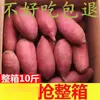 Enviado Diretamente do Local de Origem, Batatas Doces Mel Arenosas, Corações de Açúcar Oleosos, Batatas Doces Mel Super Doces da Academia de Ciências Agrícolas, Batatas Doces Frescas, Atacado de Batatas Doces