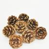 Piñas Naturales Decoración Navideña Madera Flores Secas Flores Inmortales Piñas de Pino Teñidas Blancas Accesorios DIY Fruta Navideña al Mayoreo