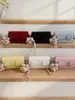 Bolso Pequeño Cuadrado de Diseño Nicho Casual de Moda Transfronterizo para Mujer, Estilo de Alta Gama Modelo Nuevo 2026 Bolso de Hombro Cruzado