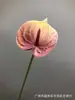 Simulação PU único vermelho médio palma mini pequena Guanyinlian segurando flor material adereços de tiro flores de mesa para casa