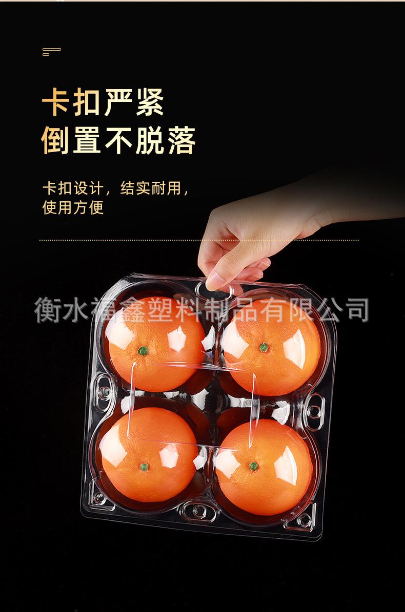 苹果_04.jpg