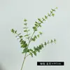 Planta artificial de plástico macio eucalipto folha de dinheiro decoração de casamento casa flor artificial planta verde ornamentos de bonsai atacado