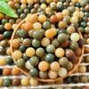 Cuentas de Mano de Bodhi Natural Cuentas Sueltas Cuentas DIY Accesorios de Joyería Semilla de Bodhi Fina Cuentas de Buda Juguetes Culturales Venta al por Mayor