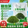 Brotes de Bambú Petardo, Verduras de Longevidad, Algas Marinas Frescas, Algas Marinas Yamato, Rábano Picante Salado, Brotes de Bambú Petardo, Ingredientes para Hot Pot, Venta al por Mayor Comercial