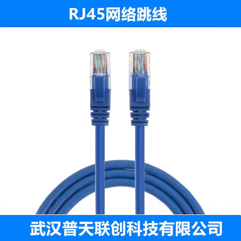 RJ45网络跳线-蓝色800