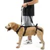 Coleira de suporte para animais de estimação mais vendida internacionalmente para cães com patas traseiras lesionadas, uma ferramenta útil para subir e descer escadas e entrar e sair de carros