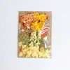 Decoración artesanal DIY mixta, set de flores eternas y flores secas, material para marco de fotos DIY, material de flores, bolsa para repujado