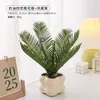 Plantas Verdes, Vasos Pequenos, Árvore da Fortuna Semelhante para Mesas de Escritório Internas, Mesas de Centro de Sala de Estar, Flores Artificiais e Arranjos Florais