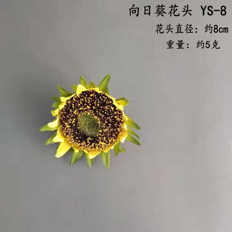 YS-8_副本